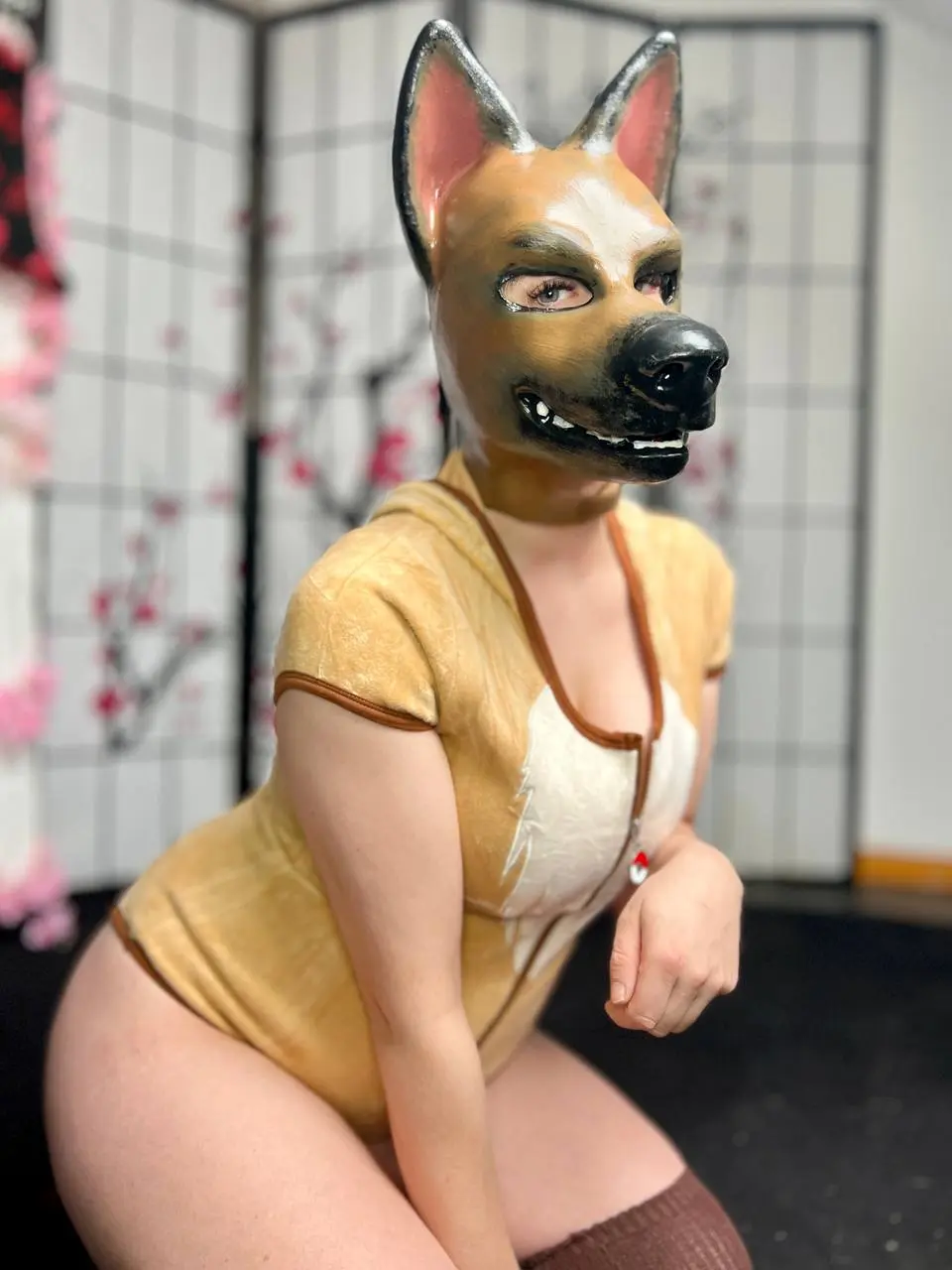 Dog 1 Bild 2